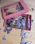 Pearl Morpho Butterflies