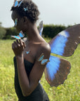 Blue Morpho Butterfly Wings