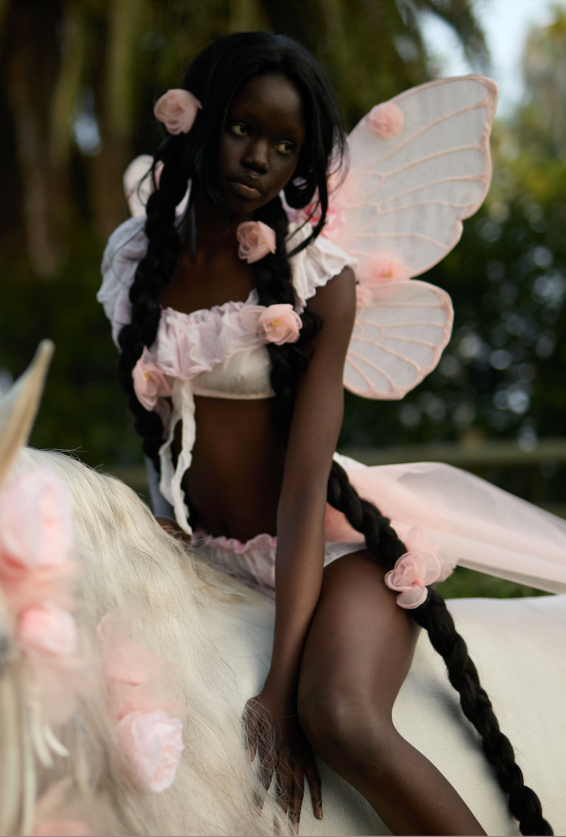 Rose Garden Faery Wings