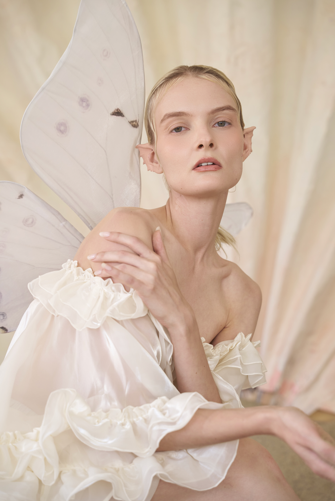 Pearl Morpho Butterfly Wings