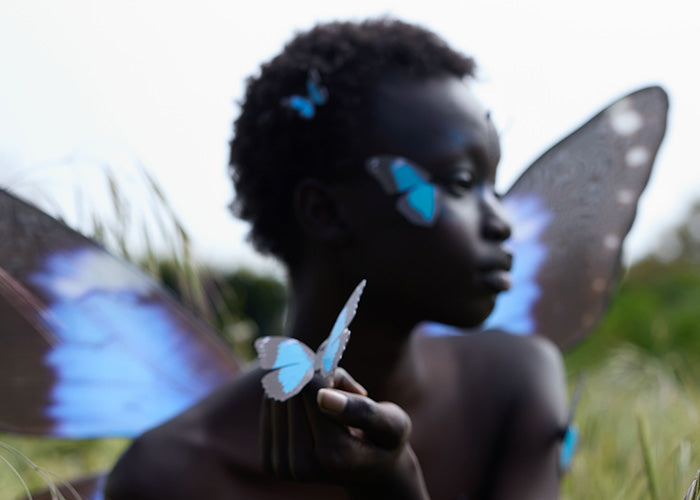 Blue Morpho Butterfly Wings