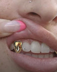 "Diamond" Hart Fangs
