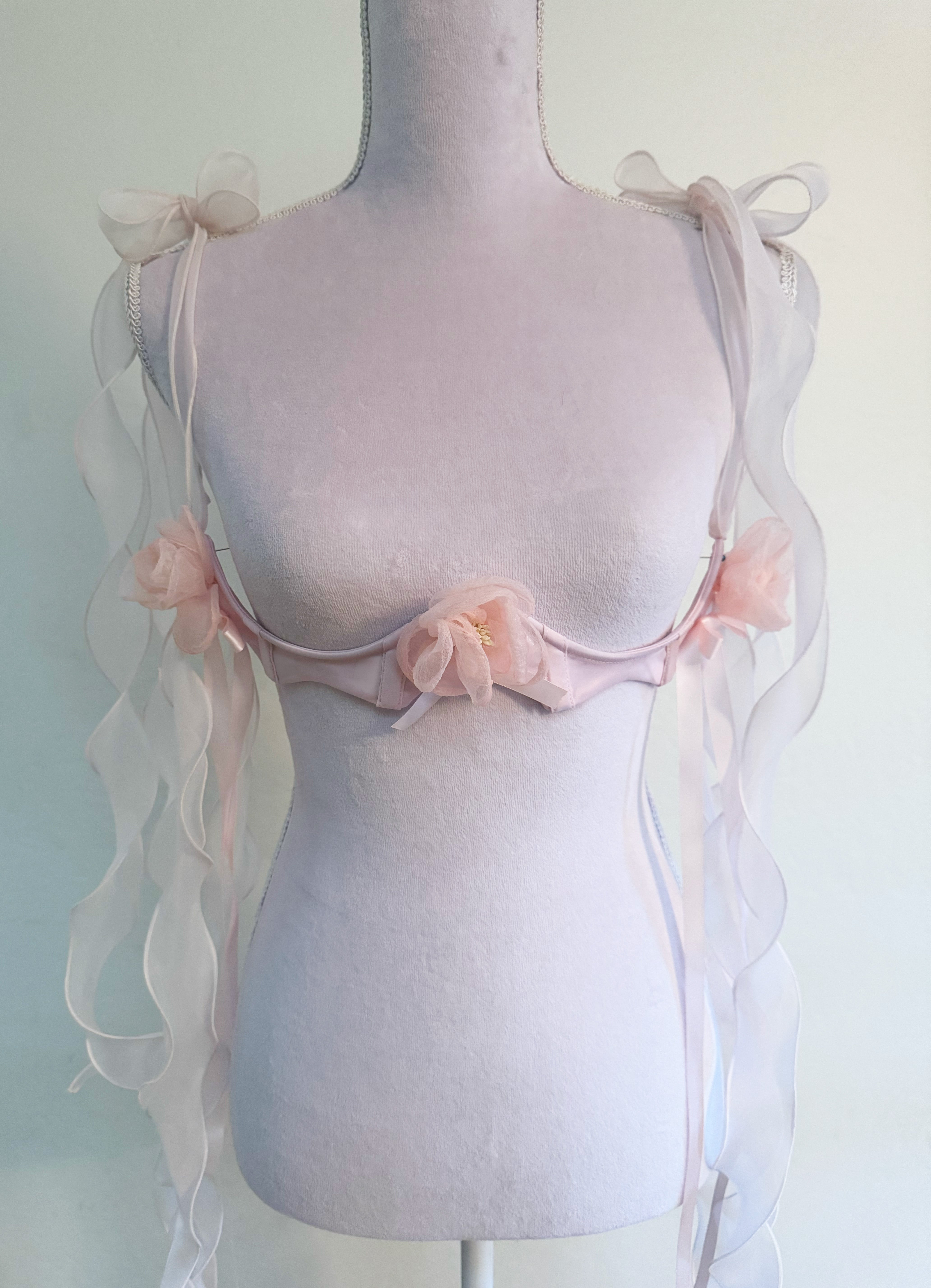 Rose Garden Mini Corset