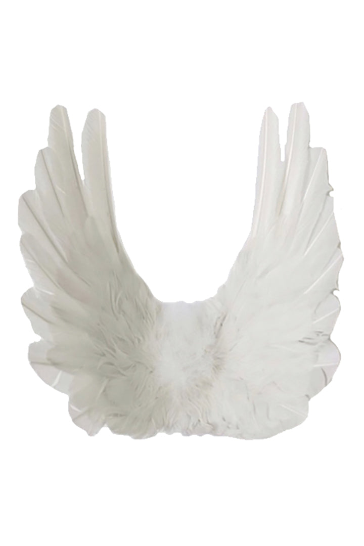 Floating Angel Wings in Dove