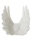 Floating Angel Wings in Dove