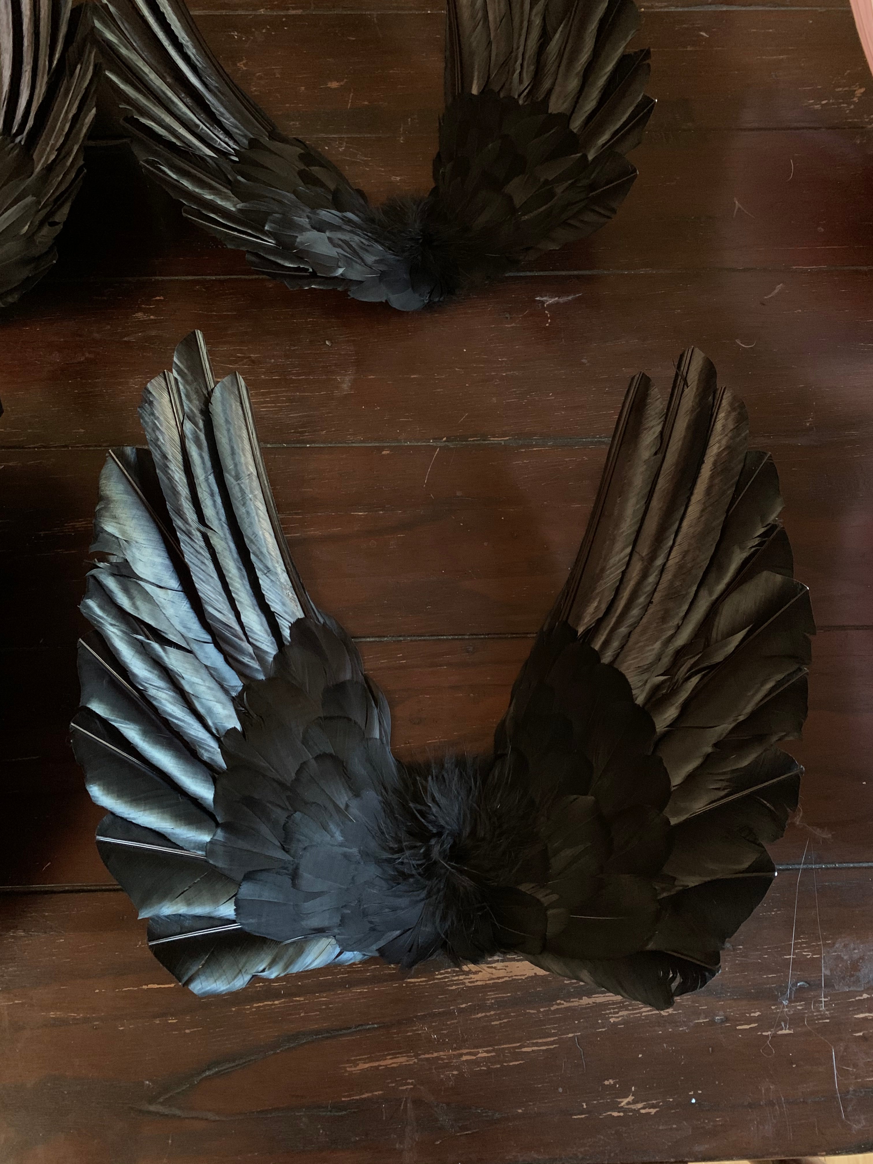 Floating Angel Wings in Black