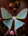 Luna Moth Floating Wings