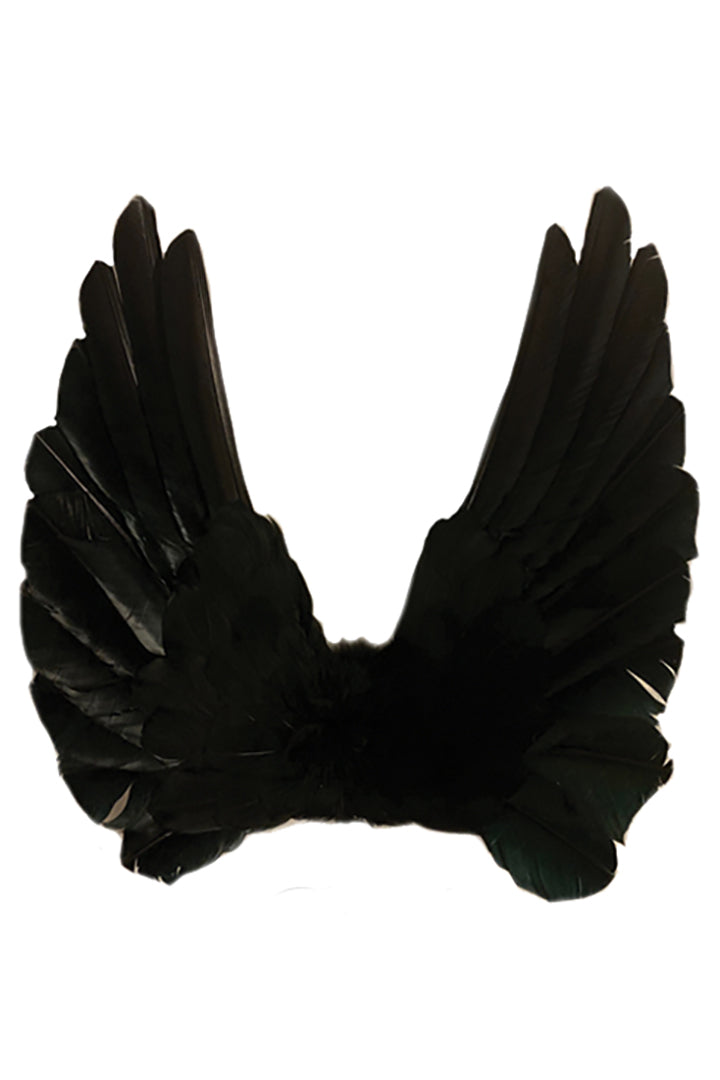 Floating Angel Wings in Black