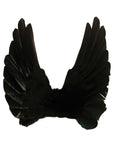 Floating Angel Wings in Black