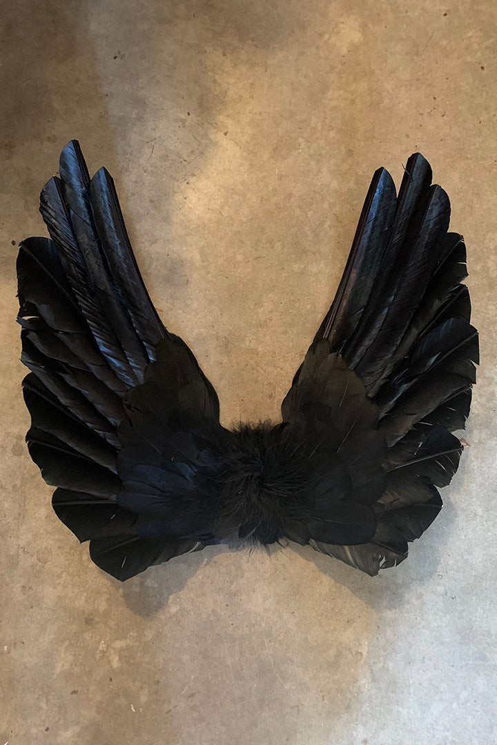 Floating Angel Wings in Black