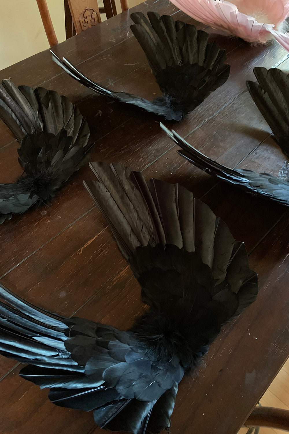 Floating Angel Wings in Black