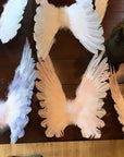 Floating Angel Wings in Dove