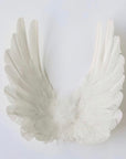 Floating Angel Wings in Dove