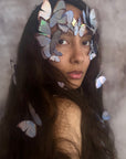 Pearl Morpho Butterflies