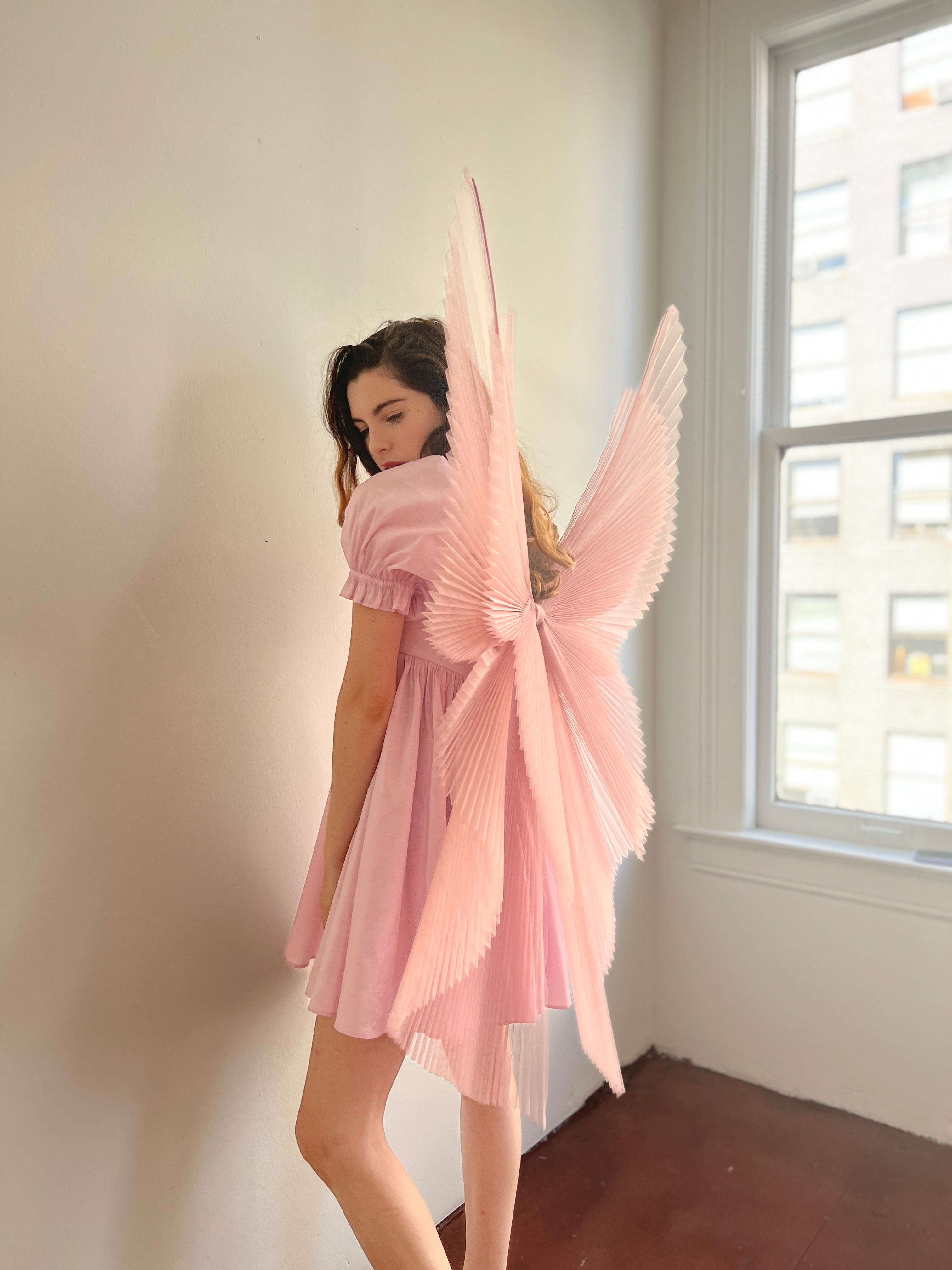 Angel Bow Wings