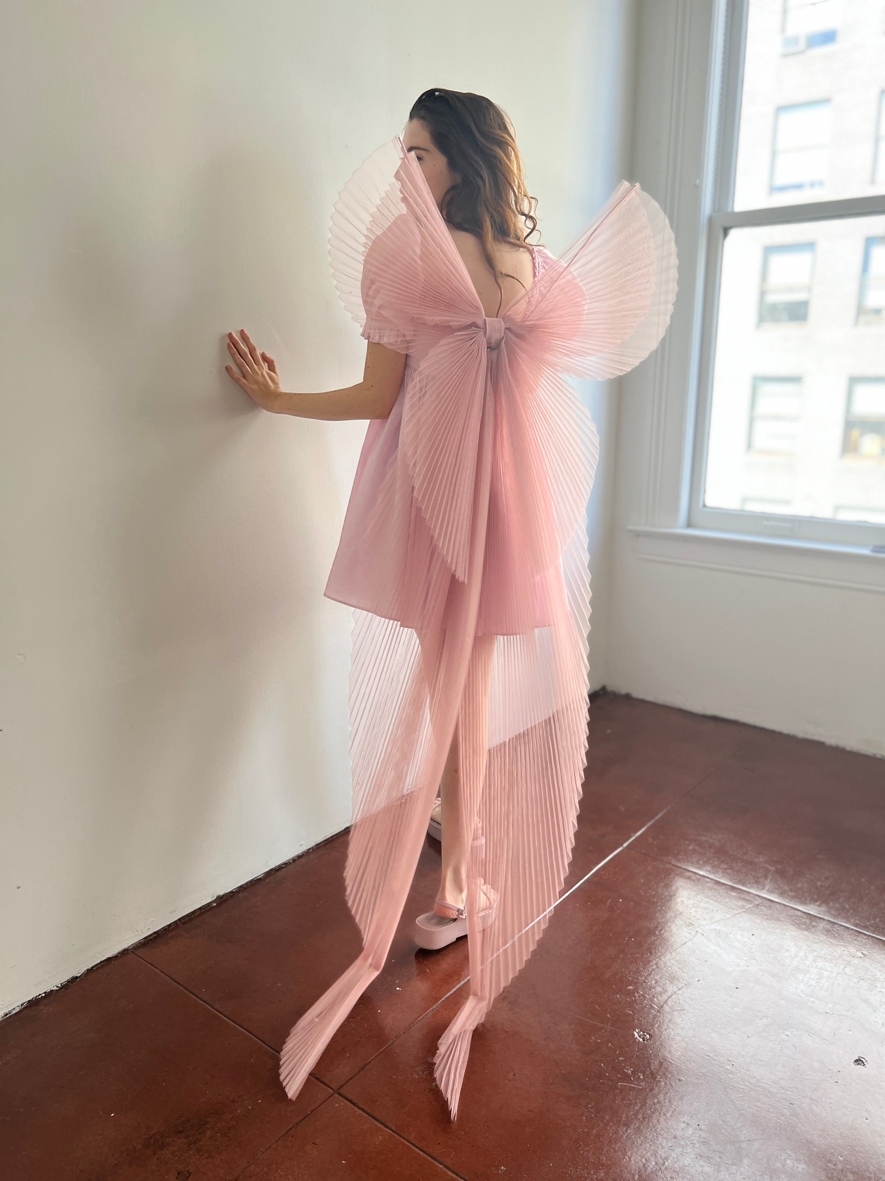 Princess Bow Wings