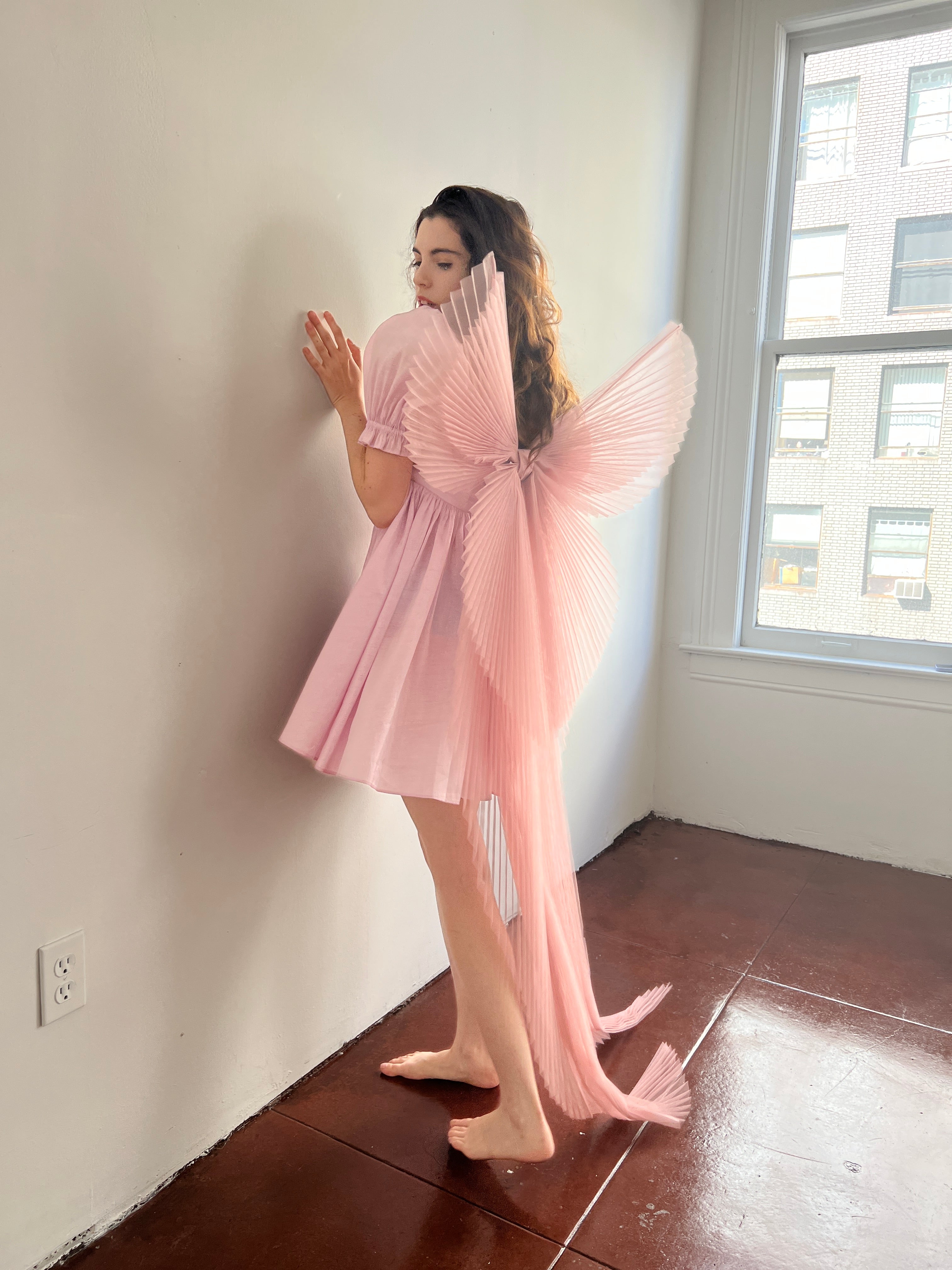 Princess Bow Wings