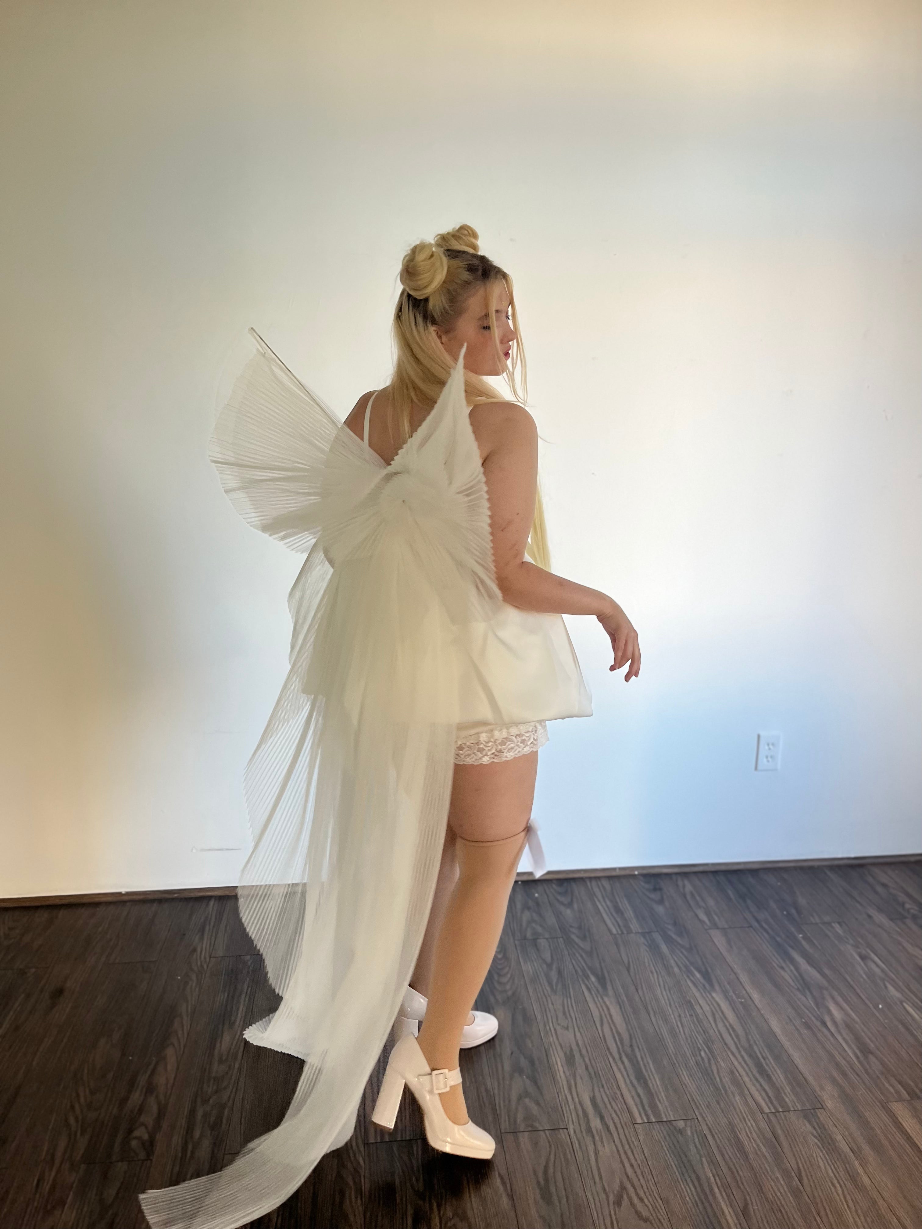 Princess Bow Wings