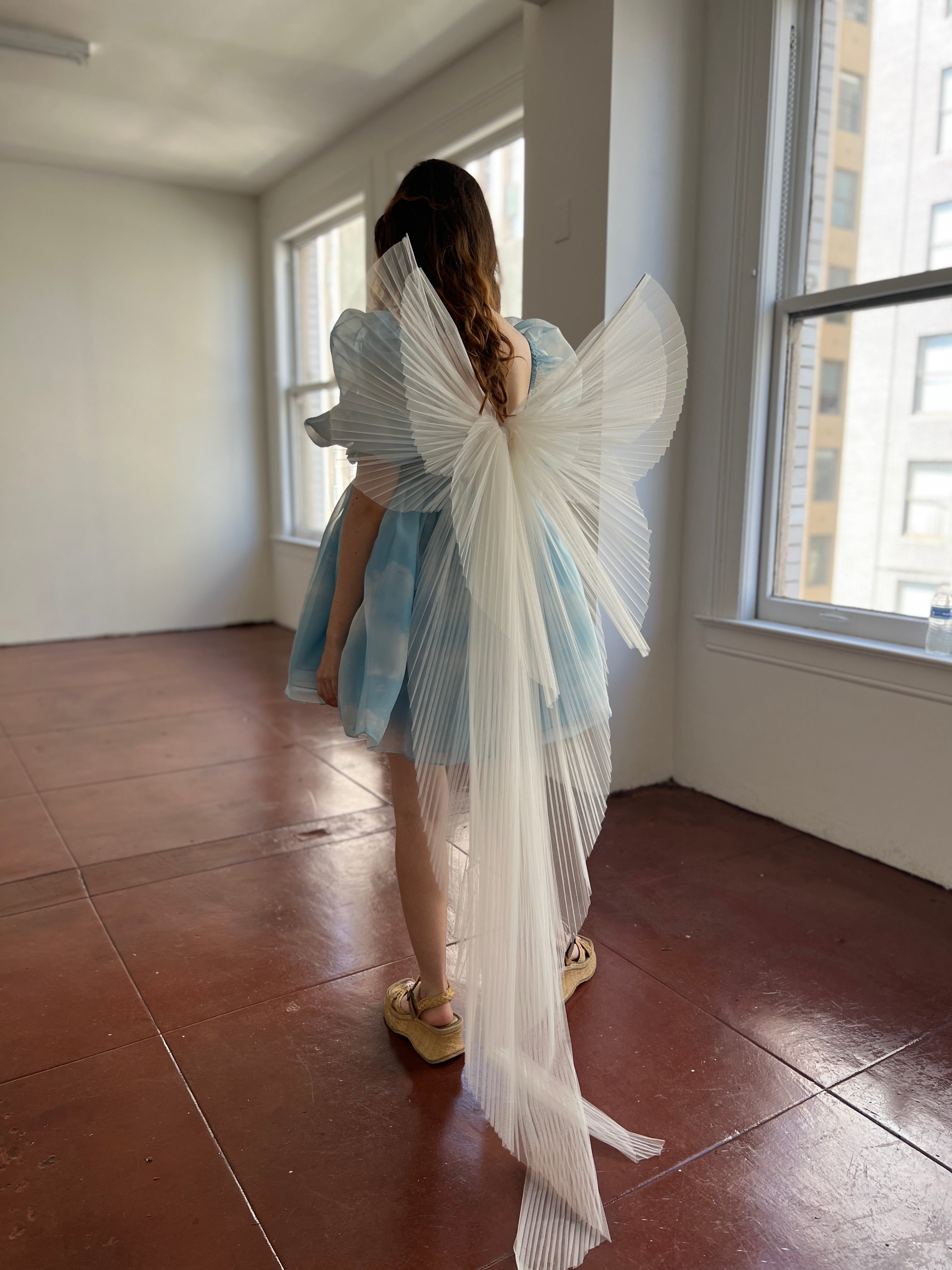 Princess Bow Wings