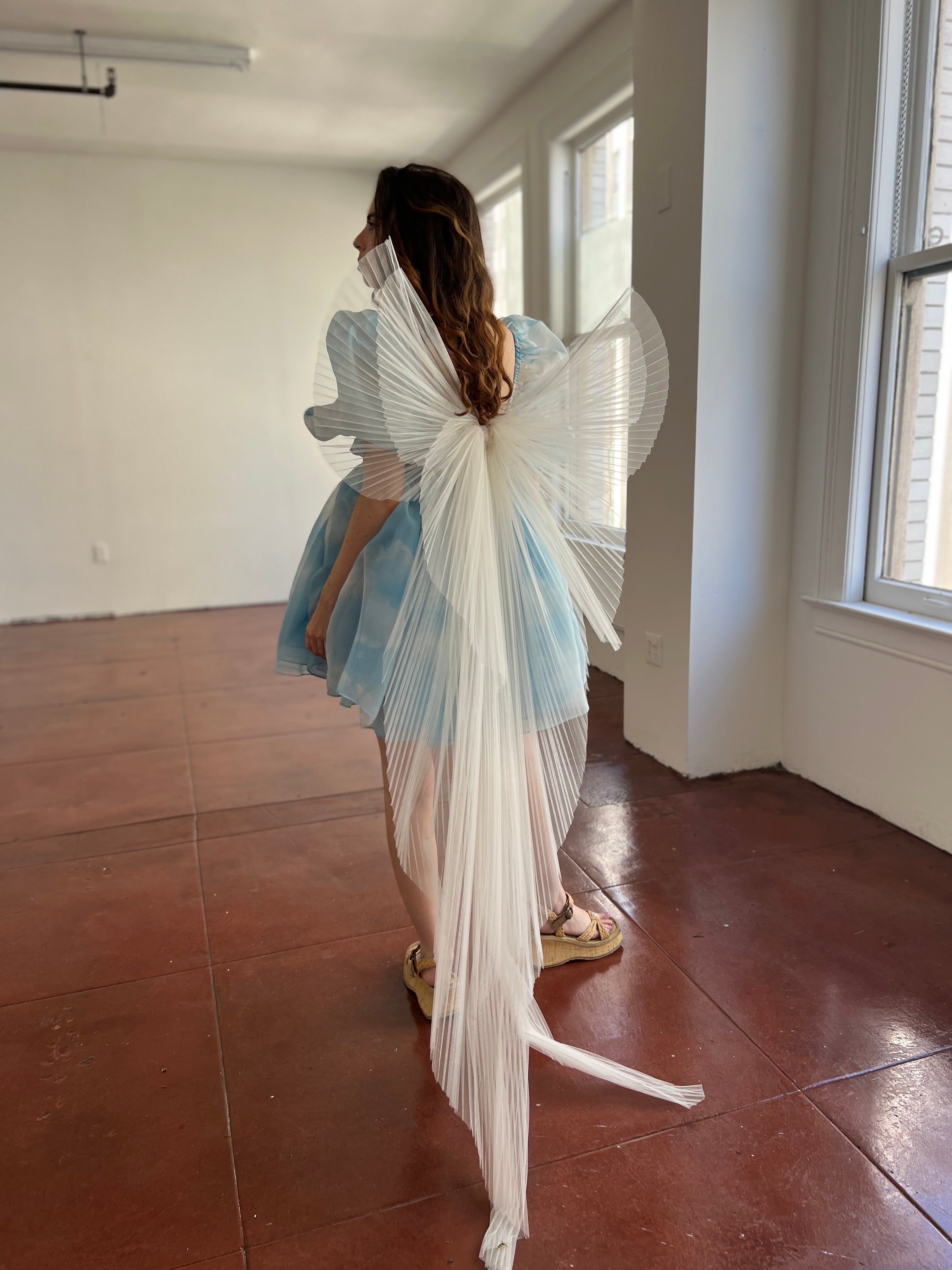 Princess Bow Wings