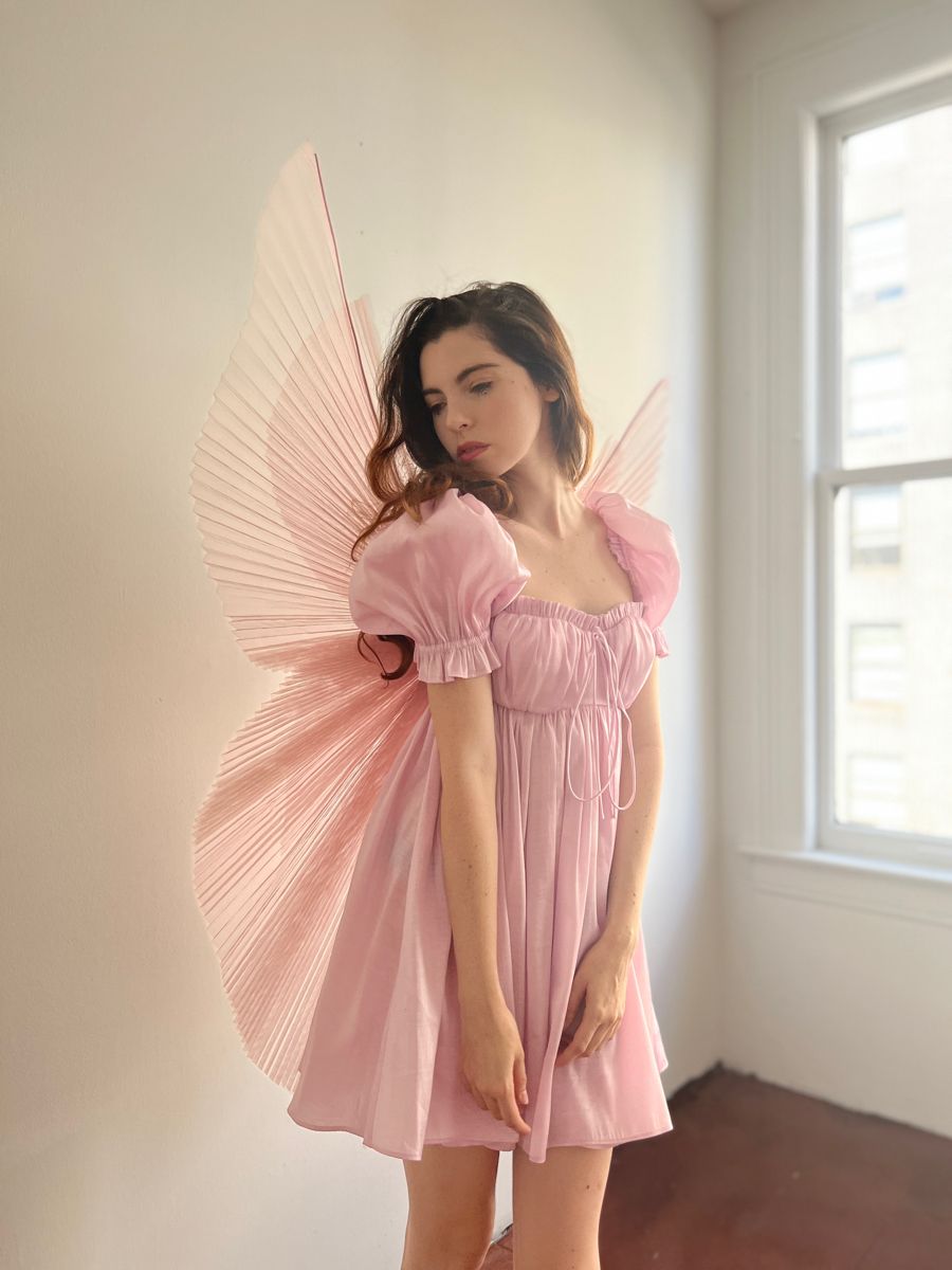 Angel Bow Wings