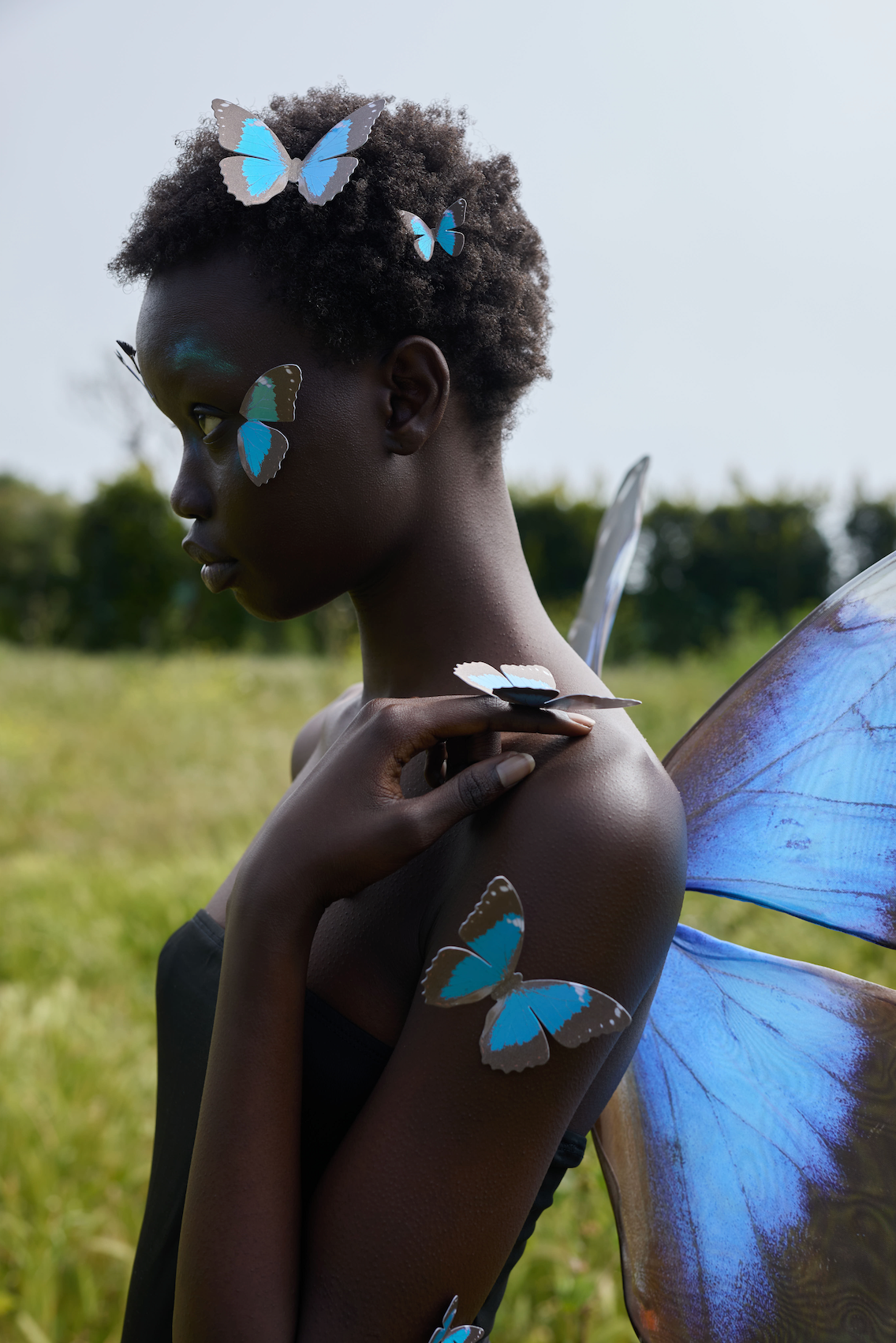 Blue Morpho Hair Pins