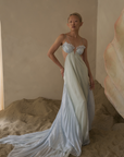 Mermaid Skin Gown