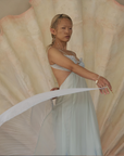 Mermaid Skin Gown