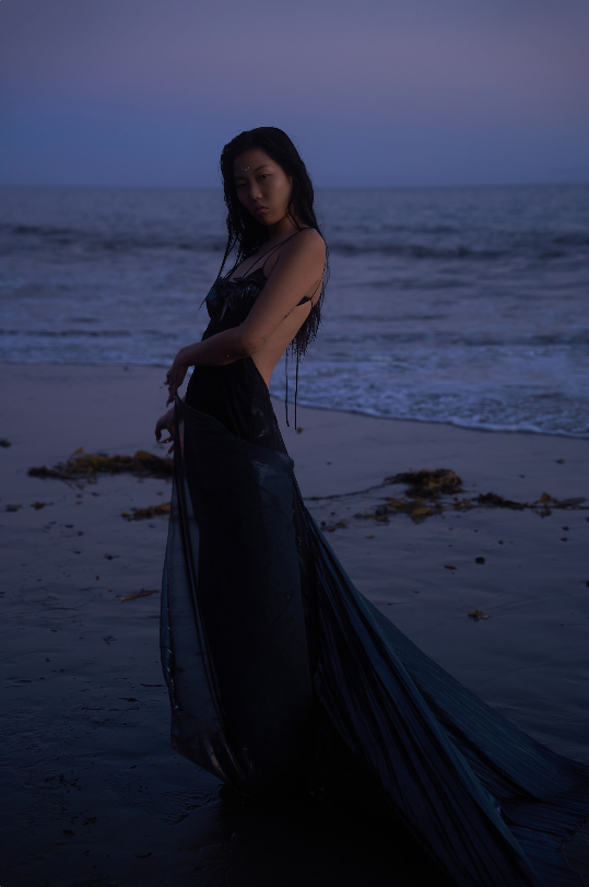 Mermaid Skin Gown in Whimsy Black