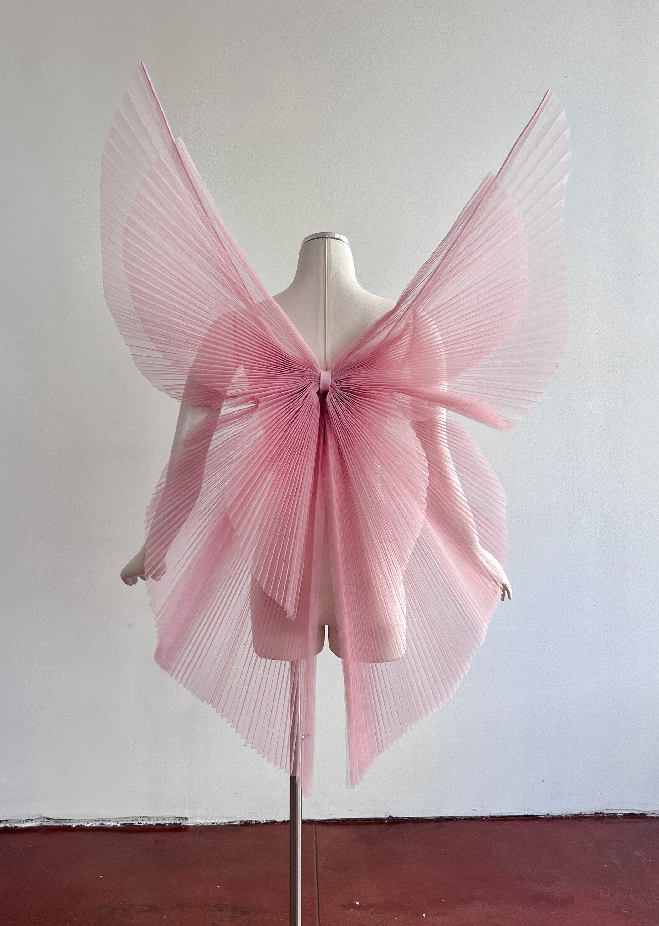 Angel Bow Wings
