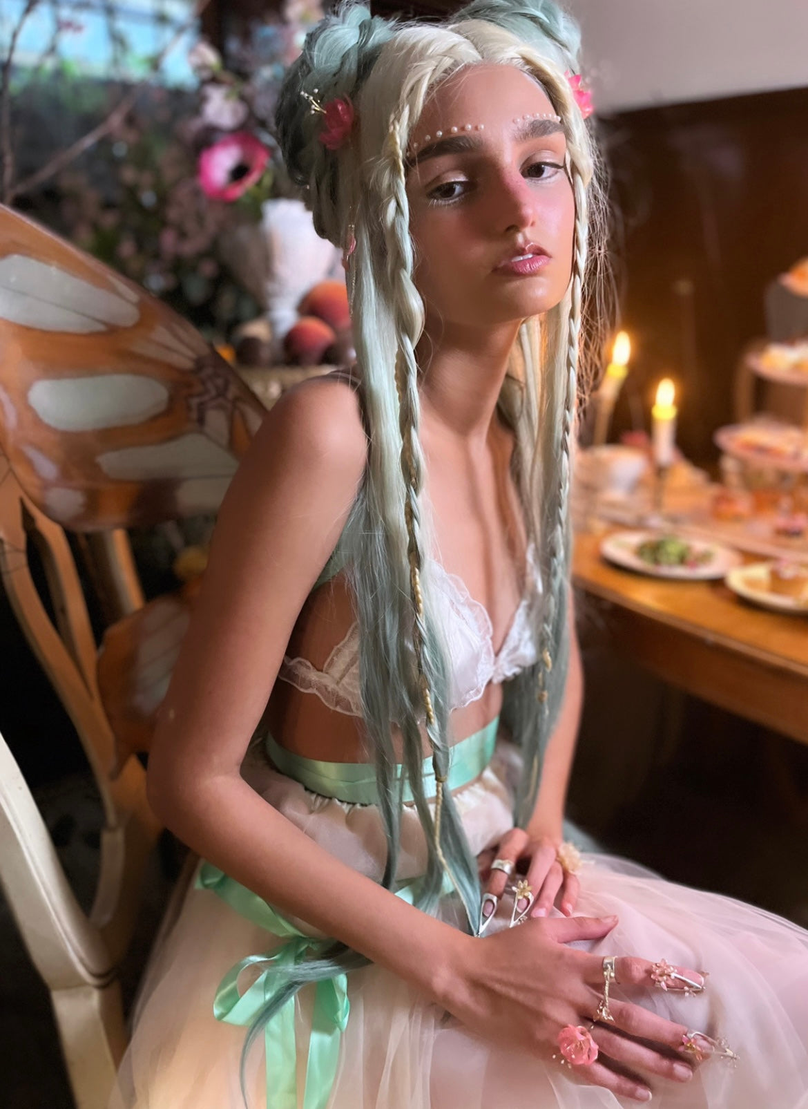 Siproeta Stelenes Floating Butterfly Wings