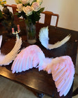 Floating Wings in Gallah Pink Direct