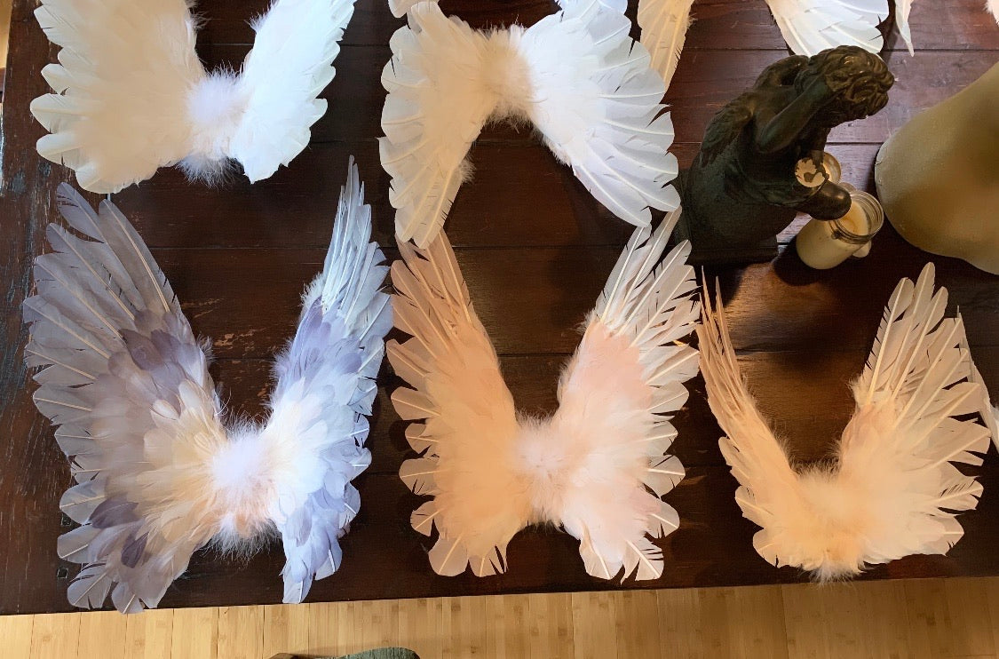 Designer Made Floating Wings in Blush Peach