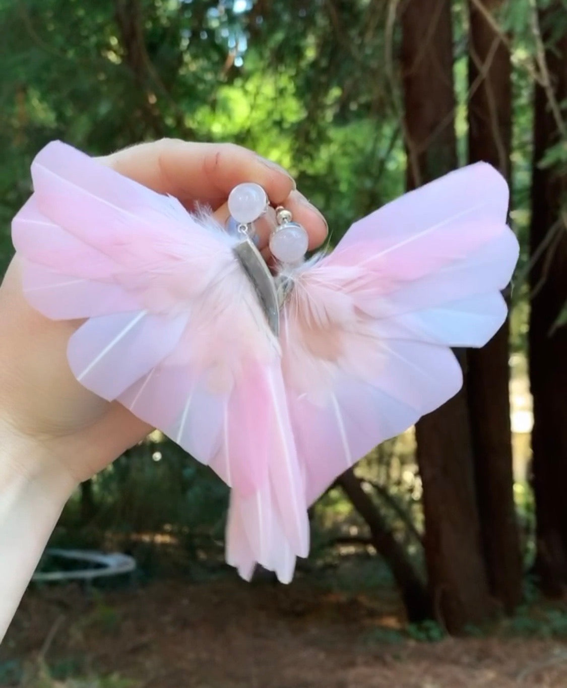 Wing Earrings
