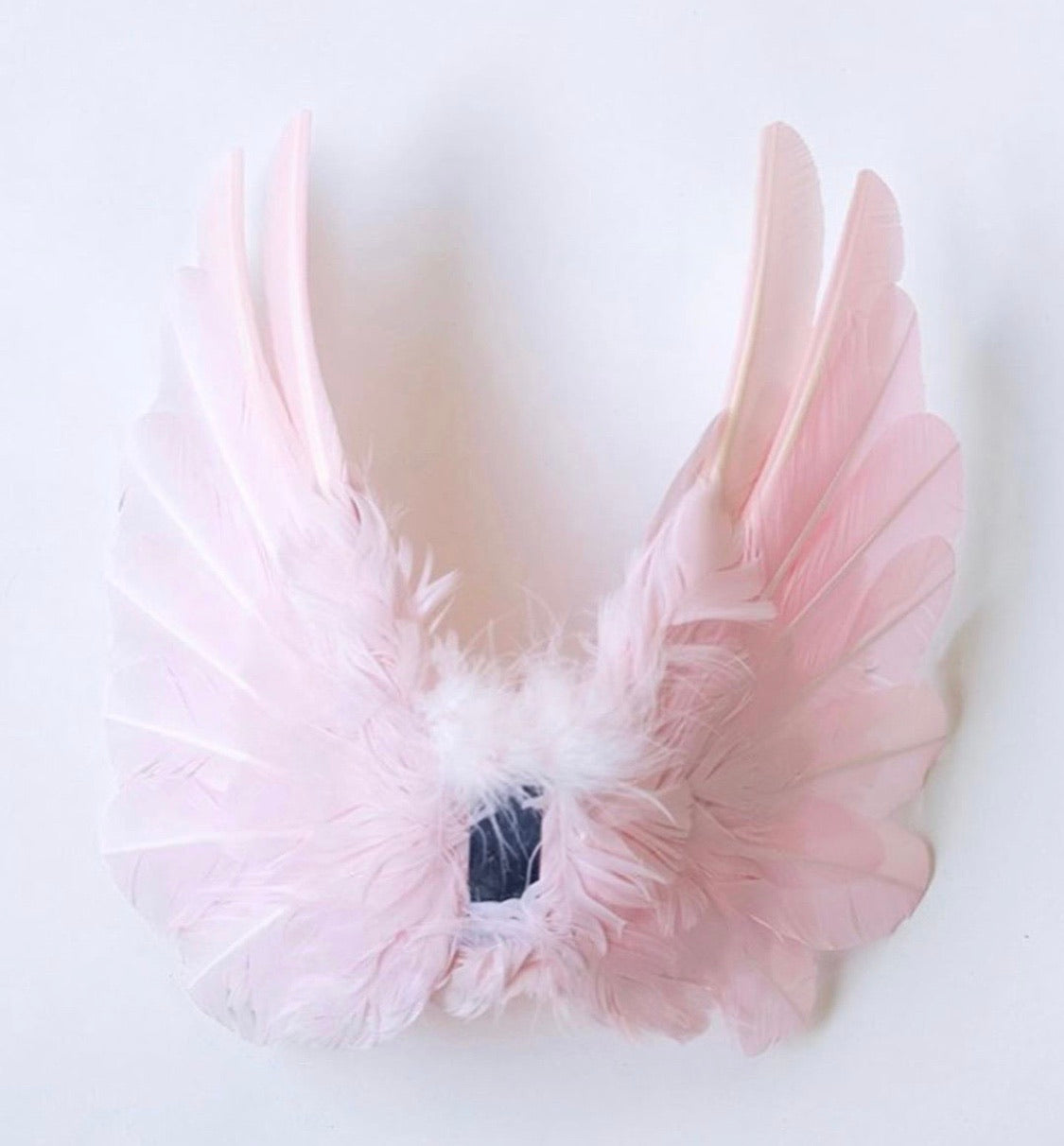 Designer Made Floating Wings in Baby Blue