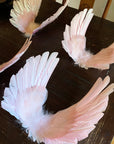 Floating Wings in Gallah Pink Direct