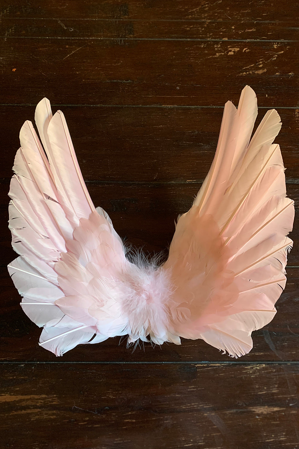 Designer Made Floating Wings in Gallah Pink
