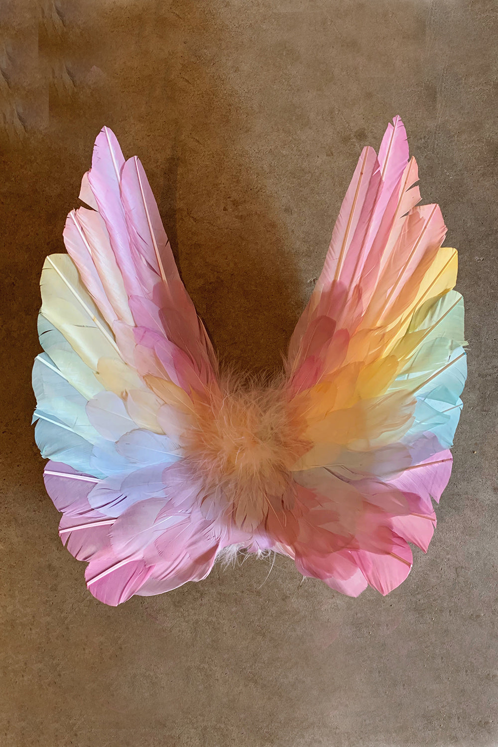 Designer Made Floating Wings in Pastel Rainbow