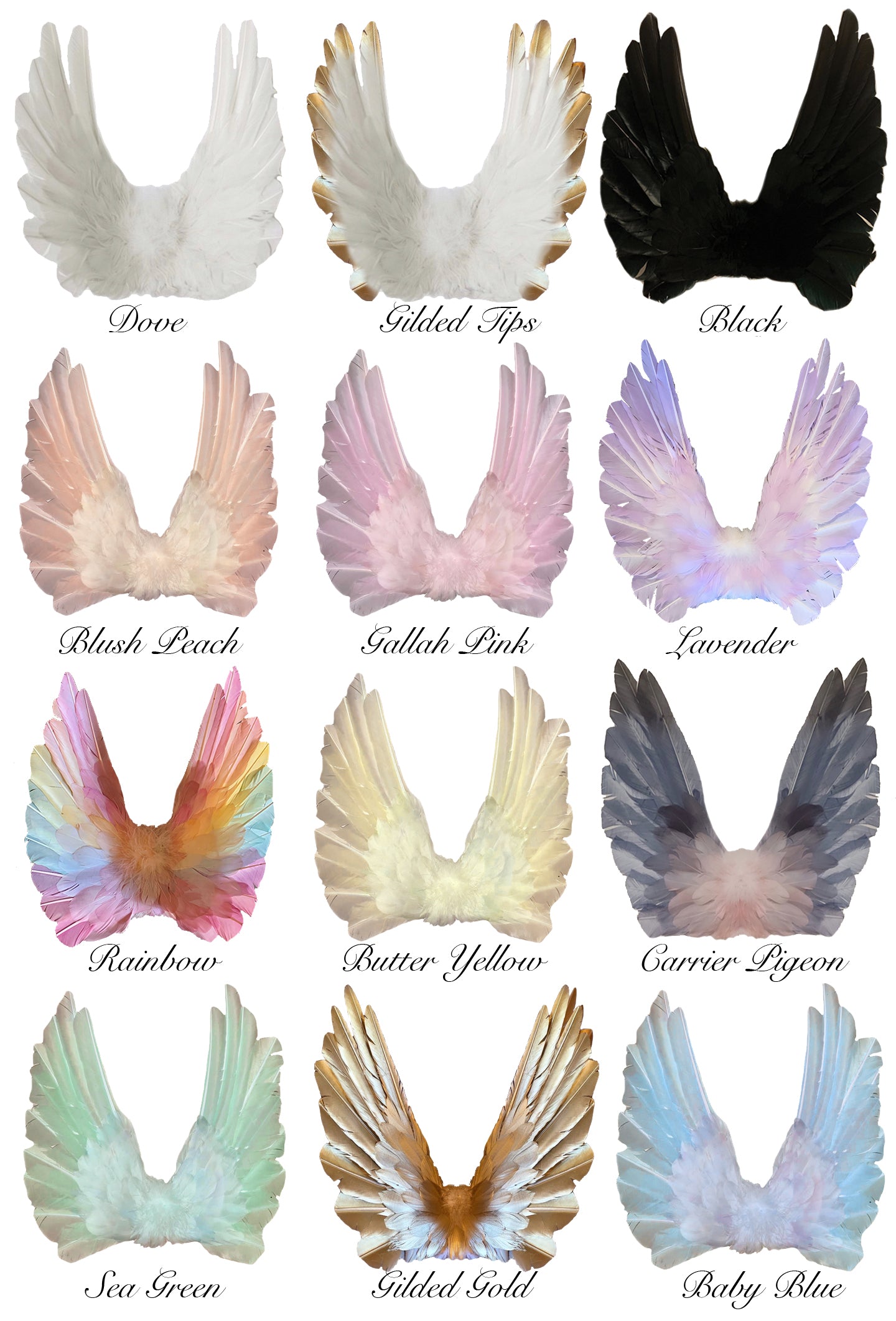 Designer Made Floating Wings in Gallah Pink